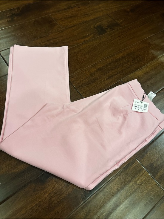 Zara Pants - Zara Pink Dress Pants  - XL